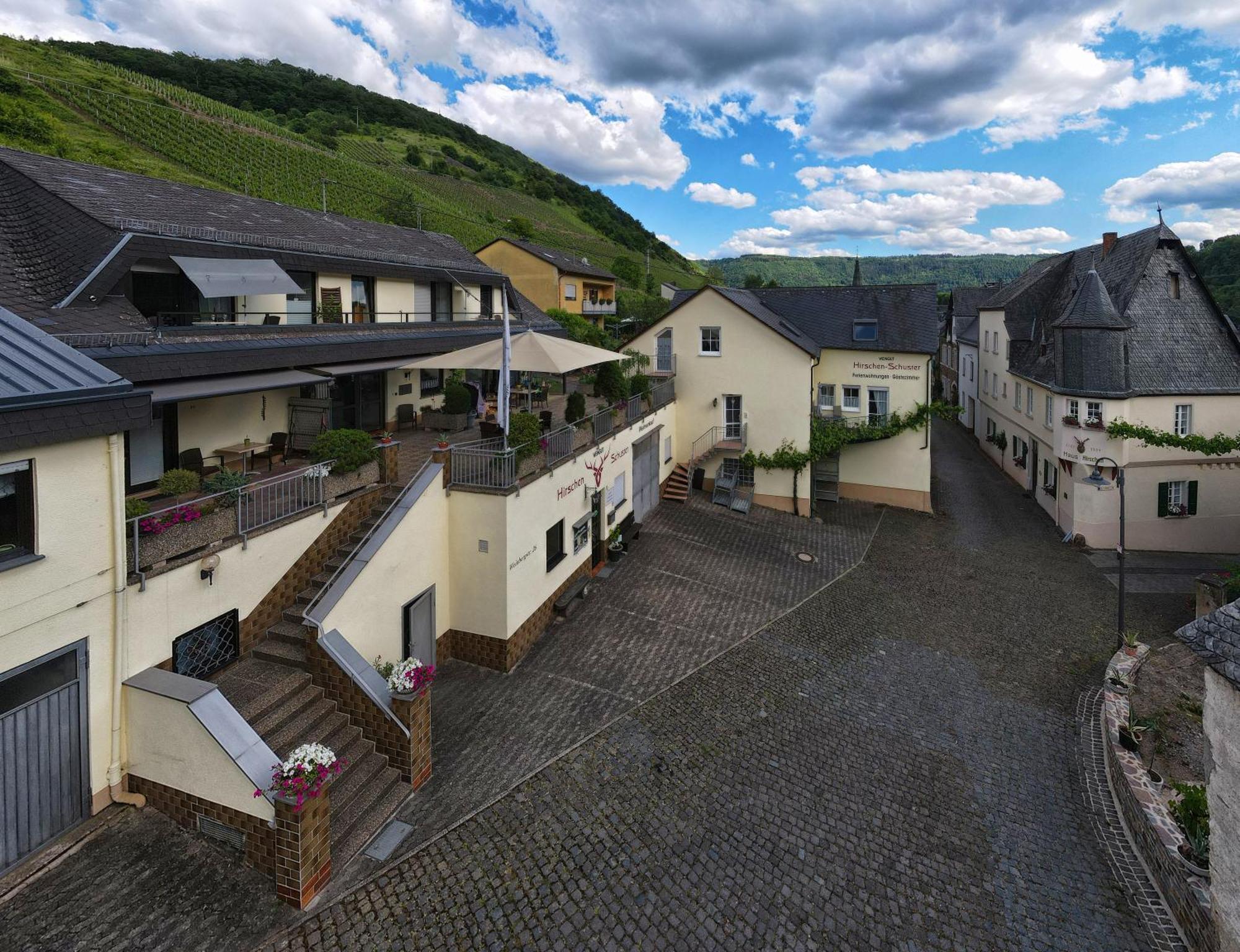 Hirschen-Schuster Lägenhet Mesenich Exteriör bild
