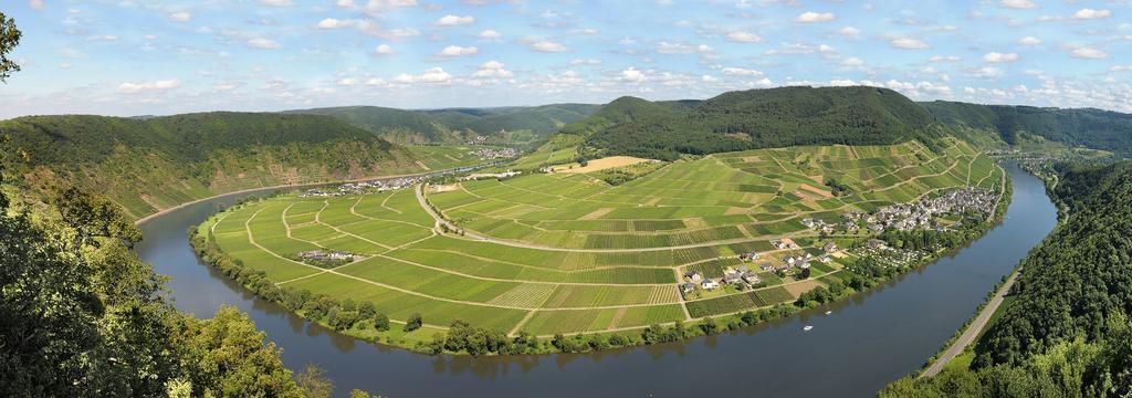 Hirschen-Schuster Lägenhet Mesenich Exteriör bild